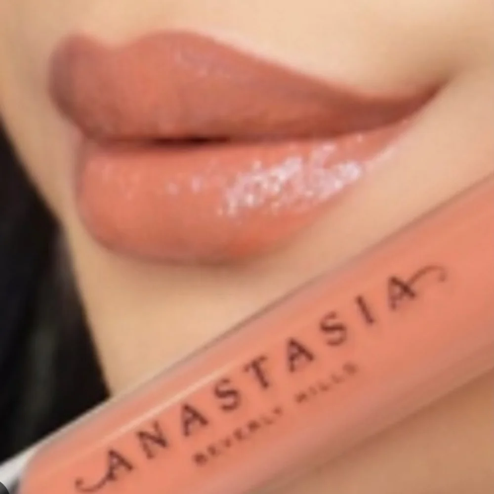 🧚‍♀️NUDE PEACH Anastasia Beverly Hills DISCONTINUED Lip Gloss NWOBOX